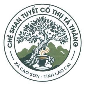 Nhãn hiệu CHÈ SHAN TUYẾT CỔ THỤ TẢ THÀNG XÃ CAO SƠN TỈNH LÀO CAI  của ỦY BAN NHÂN DÂN XÃ CAO SƠN, số đơn 4-2026-29535