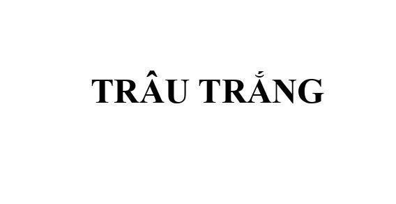 Nhãn hiệu TRÂU TRẮNG  của CÔNG TY TNHH THUỐC BẢO VỆ THỰC VẬT HOÀNG PHÁT, số đơn 4-2026-31713