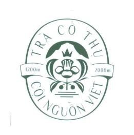 Nhãn hiệu TRÀ CỔ THỤ CỘI NGUỒN VIỆT 1200m 2000m  của CÔNG TY TNHH TƯ VẤN GIẢI PHÁP V-SOLUTIONS, số đơn 4-2026-32209