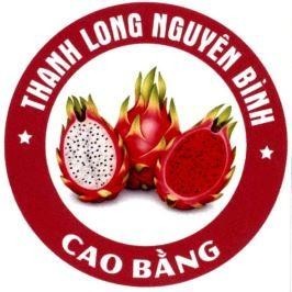 Nhãn hiệu THANH LONG NGUYÊN BÌNH CAO BẰNG  của HỘI NÔNG DÂN XÃ NGUYÊN BÌNH, số đơn 4-2026-32658