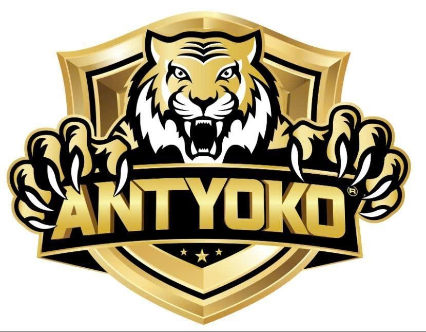 Nhãn hiệu ANTYOKO  của CÔNG TY CỔ PHẦN HÓA DẦU ANT YOKO, số đơn 4-2026-33453