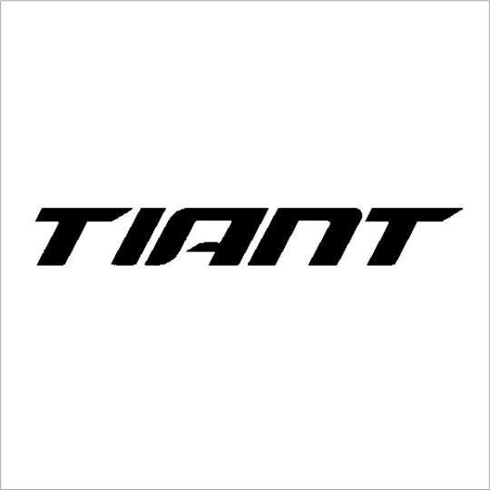 Nhãn hiệu TIANT  của CÔNG TY TNHH THƯƠNG MẠI DOT SPORTS, số đơn 4-2026-34341