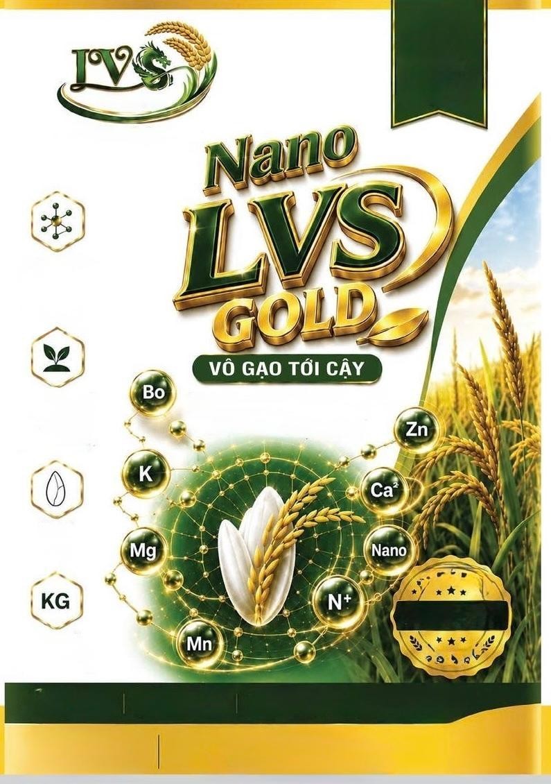 Nano LVS GOLD 