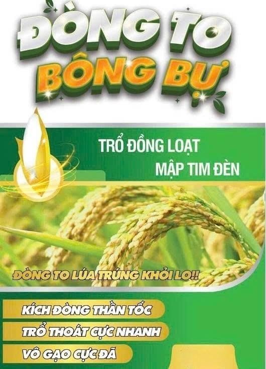ĐÒNG TO BÔNG BỰ 