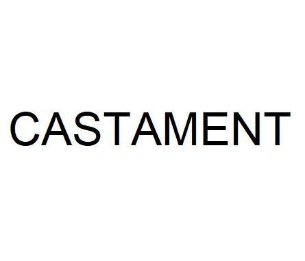 Nhãn hiệu CASTAMENT  của BASF Construction Additives GmbH, số đơn 4-2026-34534