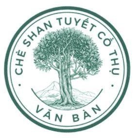 Nhãn hiệu CHÈ SHAN TUYẾT CỔ THỤ VĂN BÀN  của ỦY BAN NHÂN DÂN XÃ VĂN BÀN, số đơn 4-2026-36901