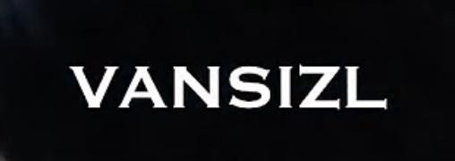 Nhãn hiệu VANSIZL  của CÔNG TY CỔ PHẦN KÍNH MẮT VIỆT TIẾN, số đơn 4-2026-38901