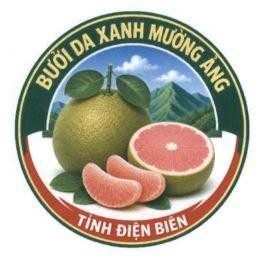 Nhãn hiệu BƯỞI DA XANH MƯỜNG ẢNG TỈNH ĐIỆN BIÊN  của Sở nông nghiệp và môi trường tỉnh Điện Biên, số đơn 4-2026-40514