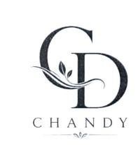 Nhãn hiệu CD CHANDY  của CÔNG TY CỔ PHẦN ĐẦU TƯ CHAMY, số đơn 4-2026-41881
