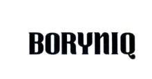 Nhãn hiệu BORYNIQ  của Công ty TNHH thời trang Bora, số đơn 4-2026-41885