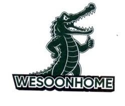 Nhãn hiệu WESOONHOME  của CÔNG TY TNHH GIẢI PHÁP VẬT LIỆU XÂY DỰNG XANH, số đơn 4-2026-41889