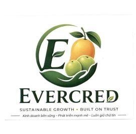 Nhãn hiệu E EVERCRED SUSTAINABLE GROWTH• BUILT ON TRUST kinh doanh - bền vững - Phát triển mạnh mẽ - Luôn giữ chữ tín  của Công ty TNHH thực phẩm Hằng Nguyên, số đơn 4-2026-43227