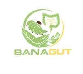 Nhãn hiệu BANAGUT  của NGUYỄN VĂN THÀNH, số đơn 4-2026-43860