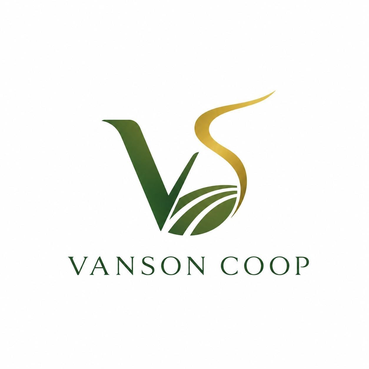 VS VANSON COOP 