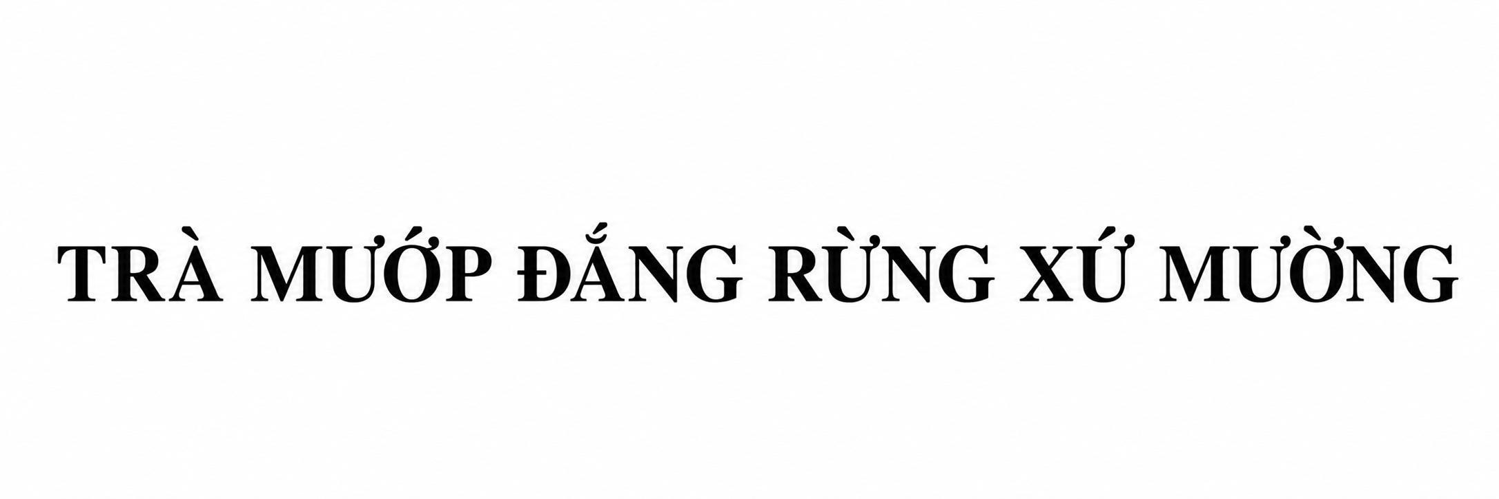 TRÀ MƯỚP ĐẮNG RỪNG XỨ MƯỜNG 