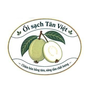 Nhãn hiệu Ổi sạch Tân Việt Chăm bón bằng tâm nâng tầm chất lượng  của Nguyễn Thị Hạ, số đơn 4-2026-44029