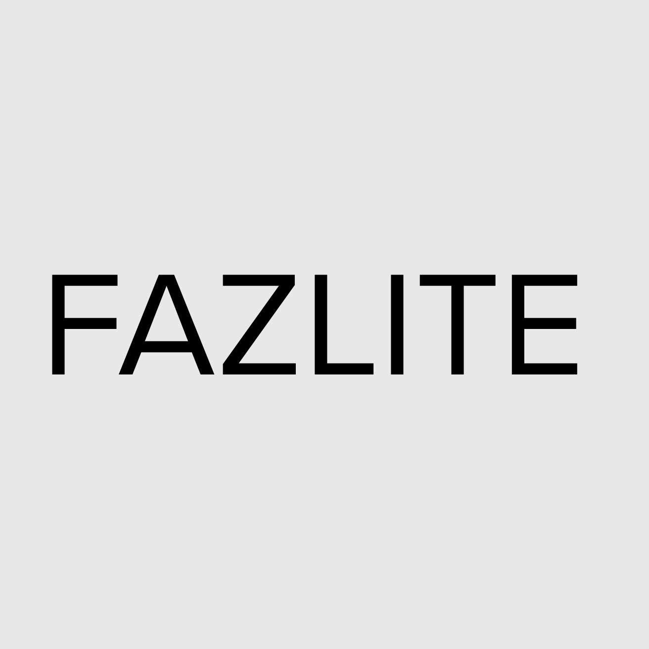 Nhãn hiệu FAZLITE  của Đinh Đức Nguyên, số đơn 4-2026-45379