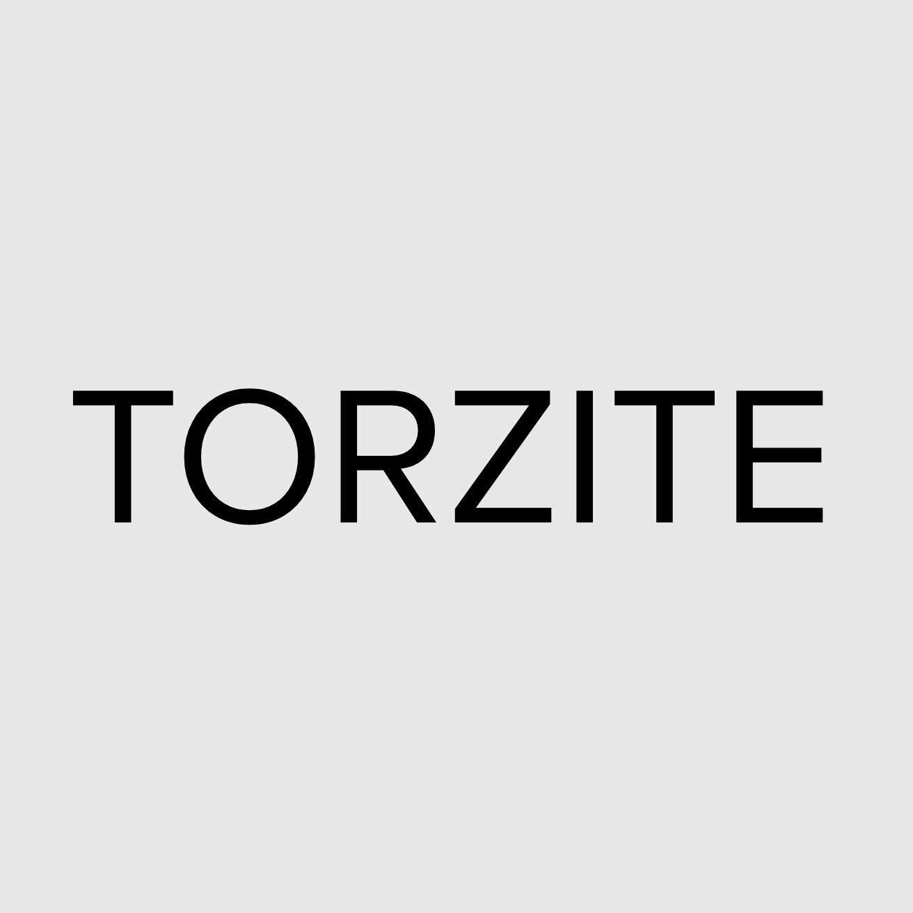 Nhãn hiệu TORZITE  của Đinh Đức Nguyên, số đơn 4-2026-45381
