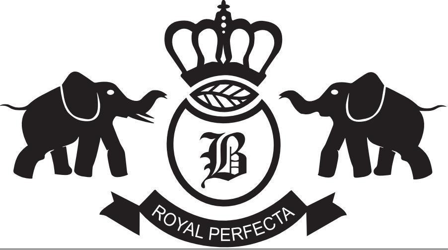 Nhãn hiệu B ROYAL PERFECTA  của CÔNG TY TNHH THƯƠNG MẠI TOÀN CẦU HỮU NGHỊ, số đơn 4-2026-48700