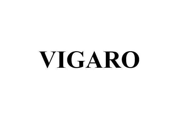 Nhãn hiệu VIGARO  của CÔNG TY CỔ PHẦN LIONA VIỆT NAM, số đơn 4-2026-50149