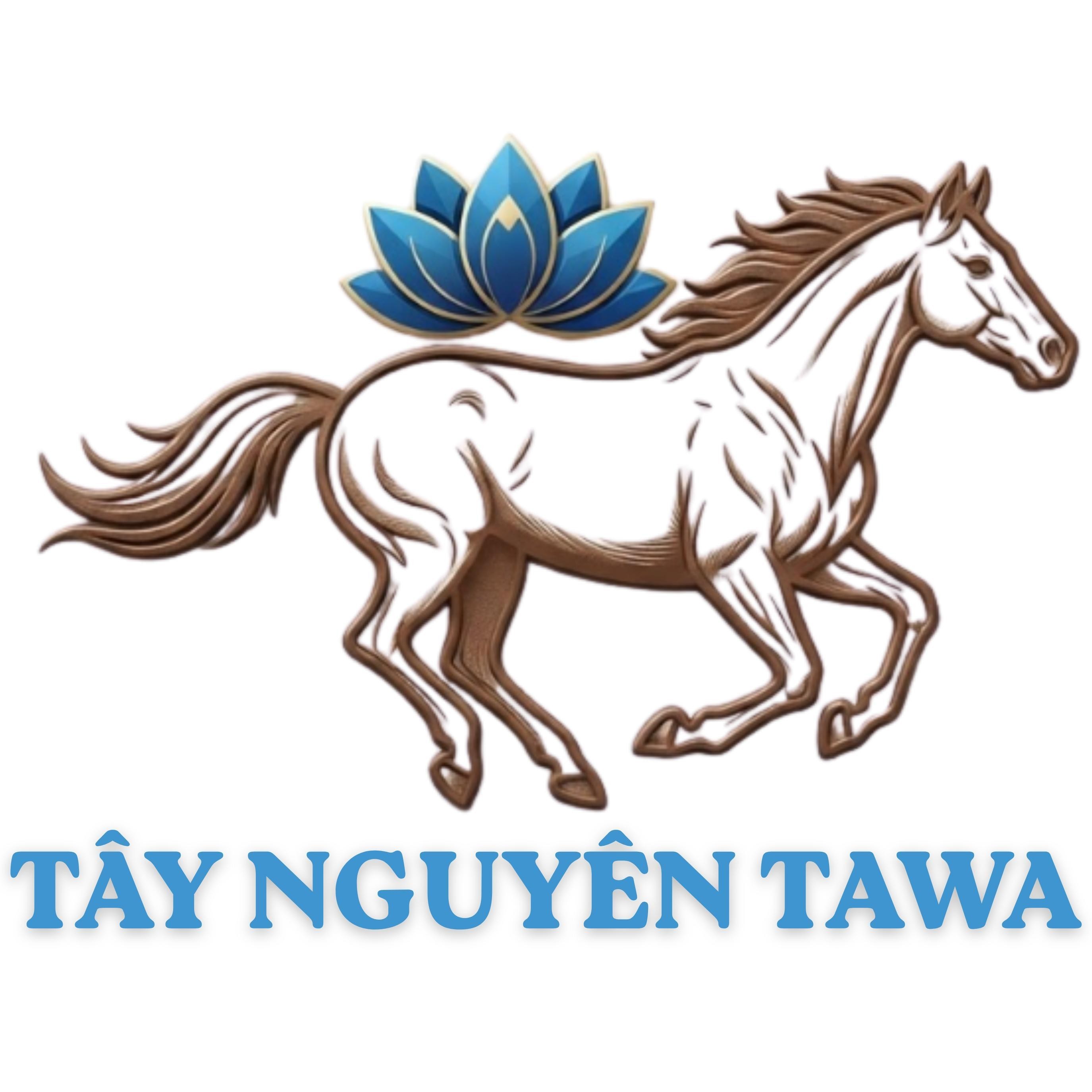 Nhãn hiệu TÂY NGUYÊN TAWA  của TRẦN VĂN DŨNG, số đơn 4-2026-51676