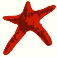 Nhãn hiệu 1467877 1467877 của H. Lundbeck A/S, số đơn 1467877