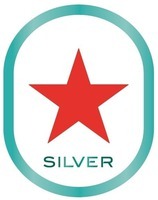 SILVER SILVER