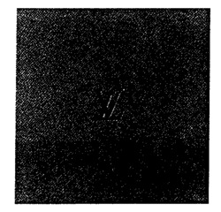 Nhãn hiệu LV LV của LOUIS VUITTON MALLETIER, số đơn 551664