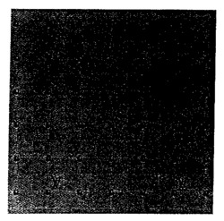 Nhãn hiệu LV LV của LOUIS VUITTON MALLETIER, số đơn 551666