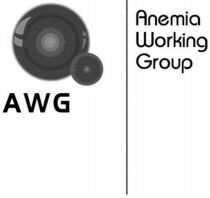 AWG Anemia Working Group AWG Anemia Working Group