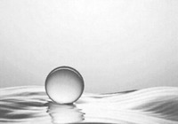 Nhãn hiệu 934134 934134 của SANTEN PHARMACEUTICAL CO., LTD., số đơn 934134